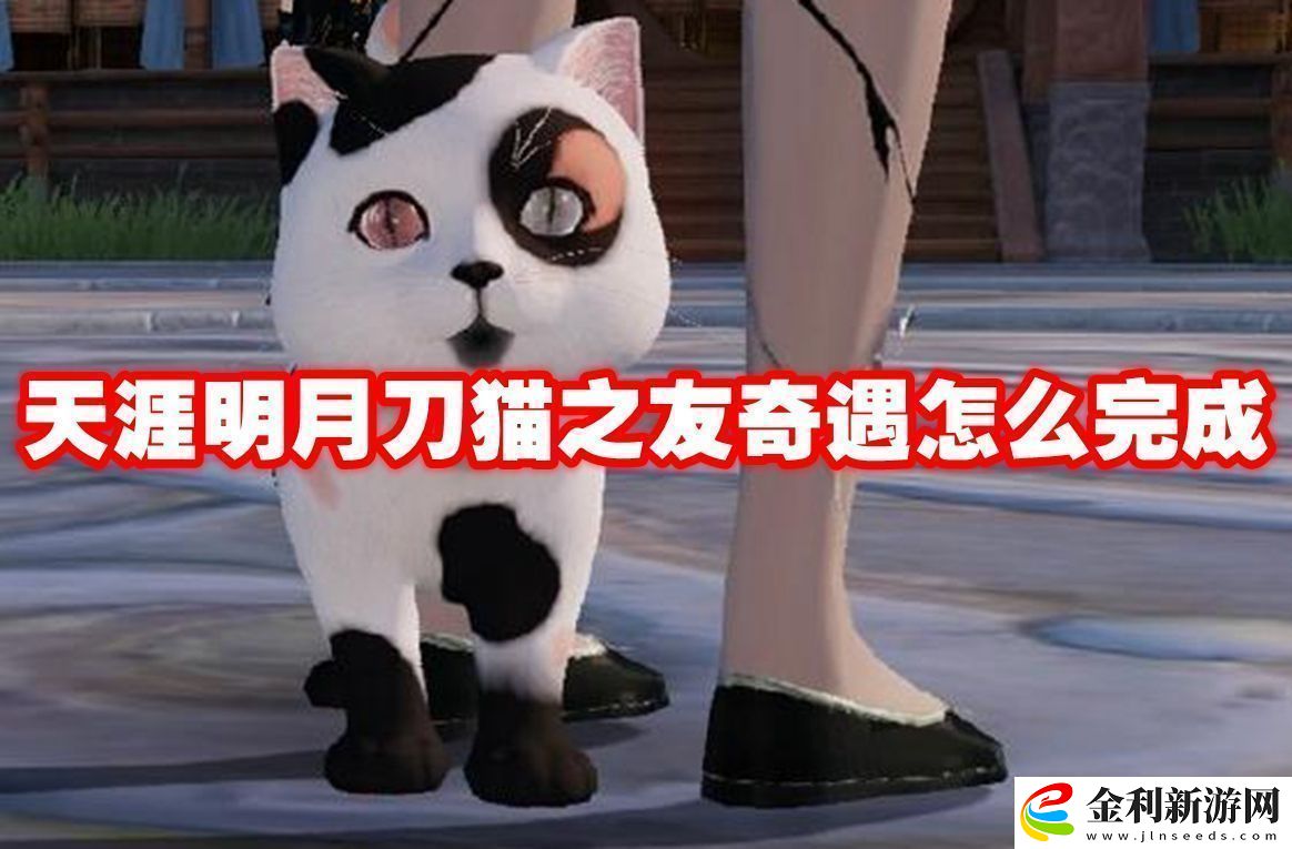 天涯明月刀貓之友奇遇怎么完成-天涯明月刀貓之友奇遇攻略流程