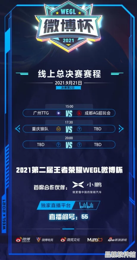 王者榮耀挑戰者杯巔峰對決