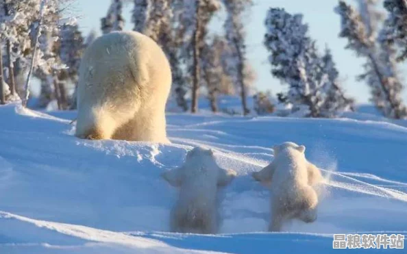 北極恐懼饑荒下的堅守者