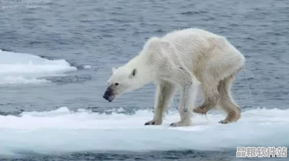北極恐懼饑荒下的堅守者