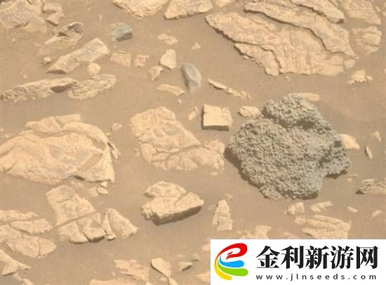 美國火星車發(fā)現(xiàn)詭異怪石