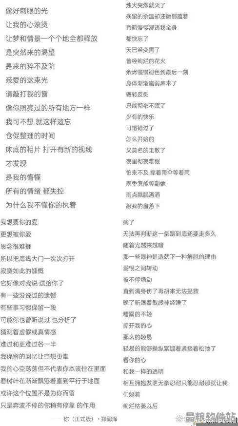 如何高效獲取正規中文字幕MV第一季歌詞資源