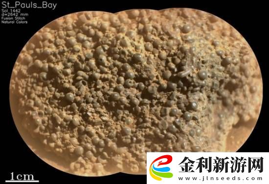 美國火星車發(fā)現(xiàn)詭異怪石