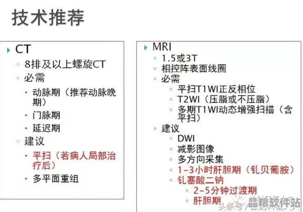 如何規范項目術語