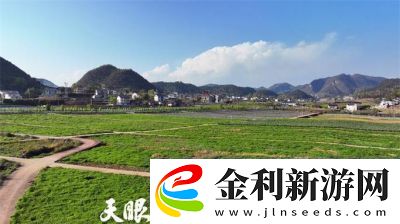 精產國品一二三產區9977