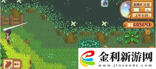 星露谷物語蕨菜怎么獲取