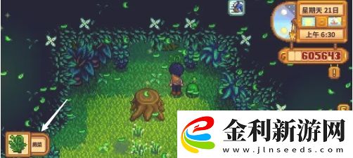星露谷物語蕨菜怎么獲取