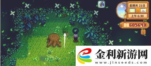 星露谷物語蕨菜怎么獲取