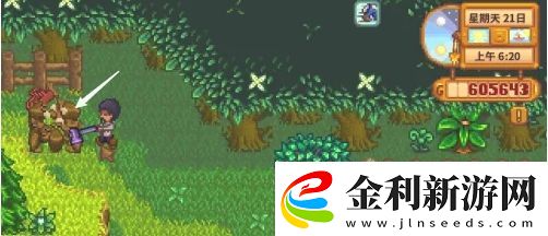 星露谷物語蕨菜怎么獲取