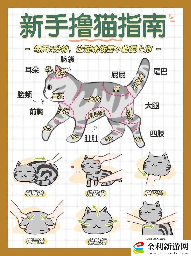超治愈！萌宅物語(yǔ)摸貓攻略｜5步解鎖完美擼貓順序必看
