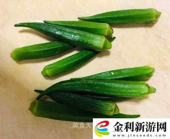 探索健康飲食