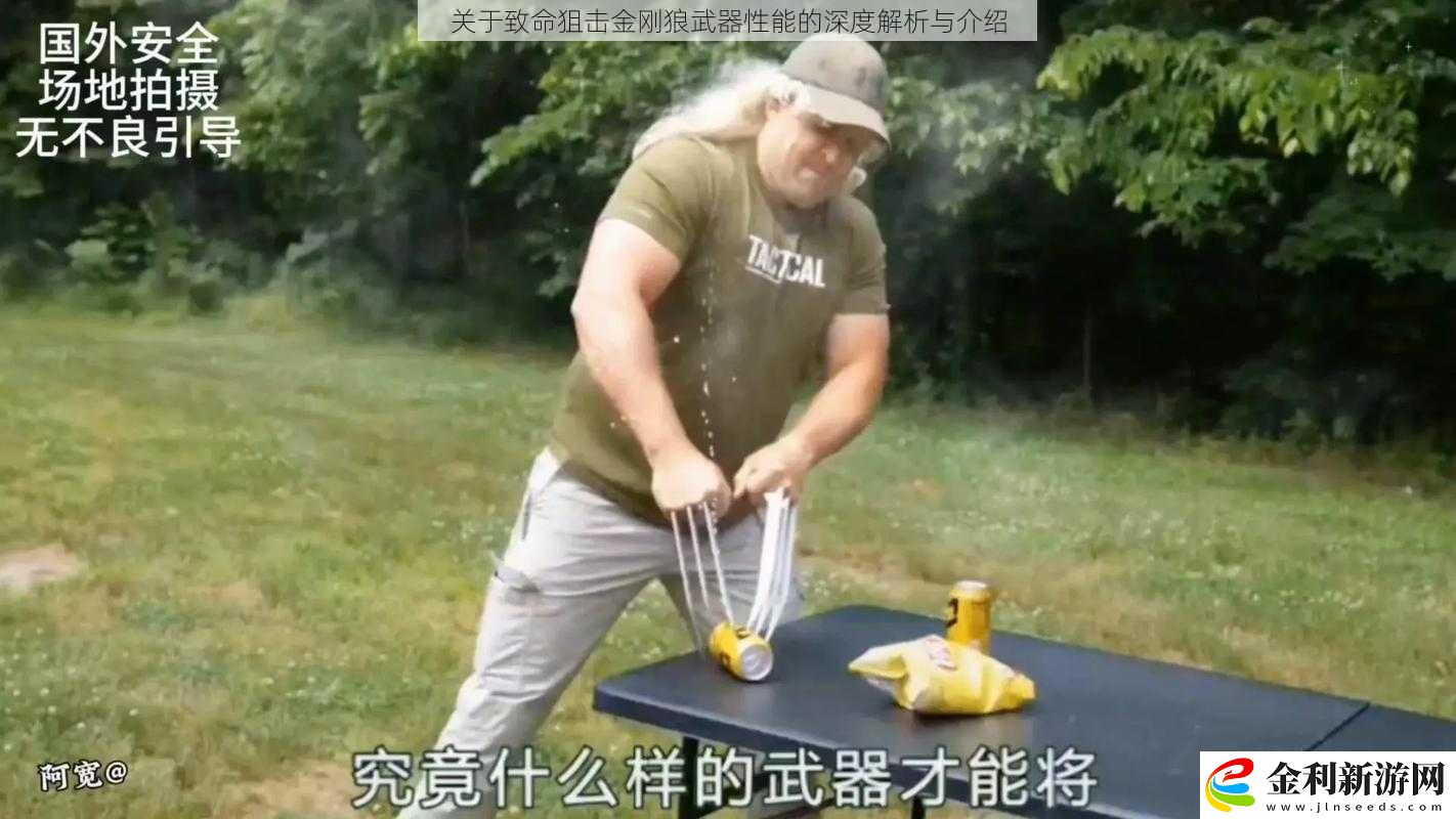 關(guān)于致命狙擊金剛狼武器性能的深度解析與介紹