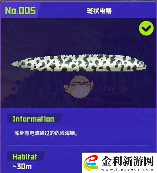 潛水員戴夫斑狀電鱔在哪