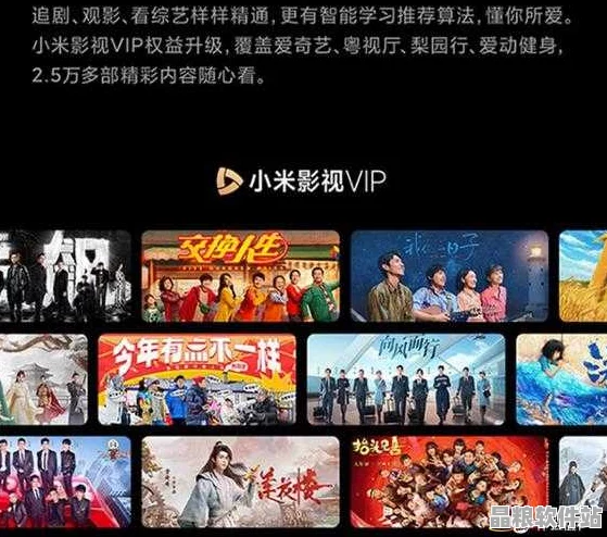 96533高清電視觀影指南