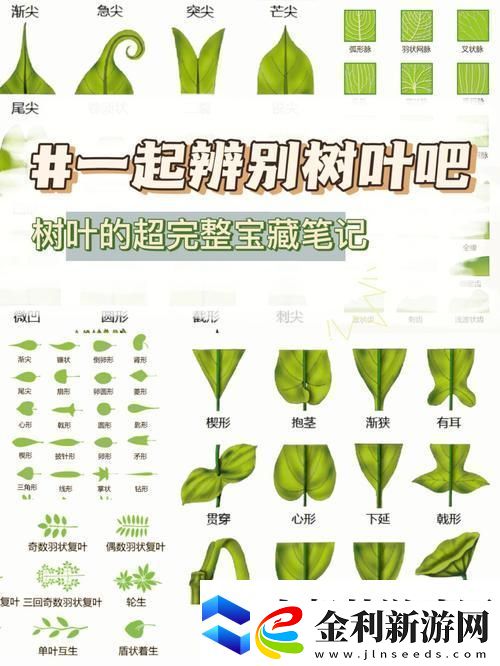 葉識無邊