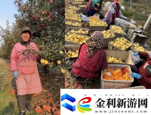 荒野迷城助農行動玩游戲做公益