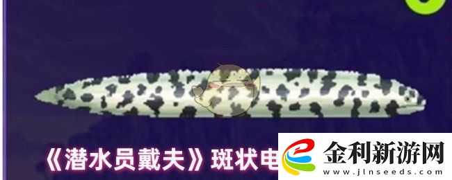 潛水員戴夫斑狀電鱔在哪