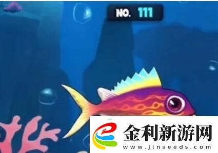 魚吃魚第八海域幾內亞灣普通魚解鎖方法