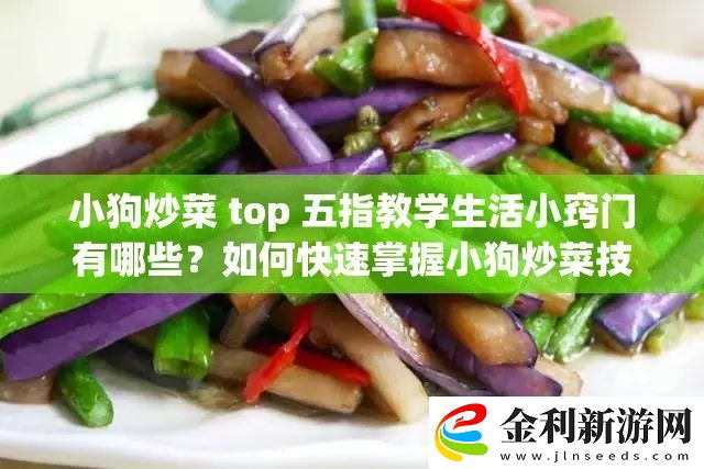 小狗炒菜