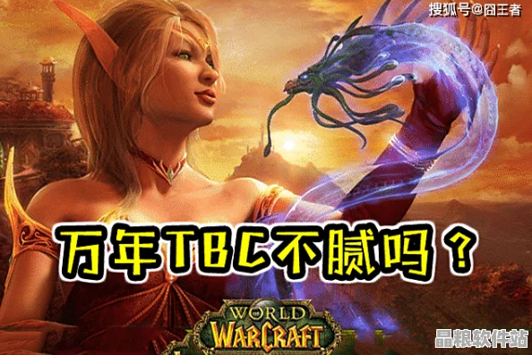 魔獸世界玩家激烈討論