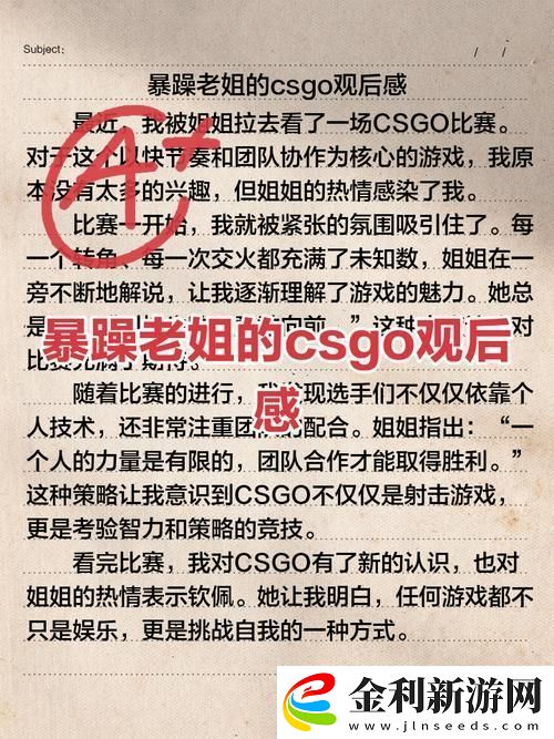 暴躁老姐的CSGO心得分享視頻流暢不卡頓網友