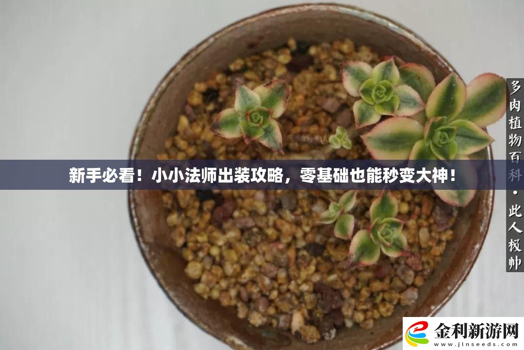 新手必看！小小法師出裝攻略