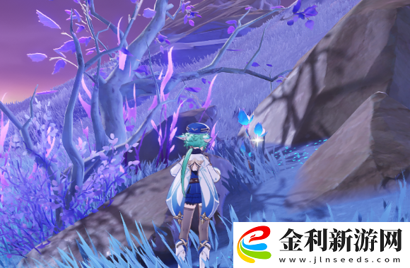原神稻妻區域特產是什么
