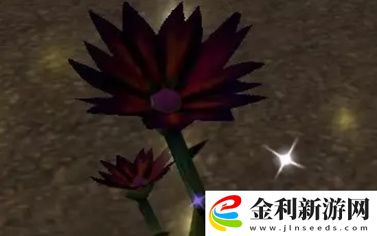 魔獸世界紀念服黑蓮花采集地點詳細解析