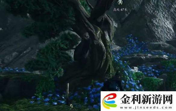 燕云十六聲搖紅一夢藏寶圖4位置介紹