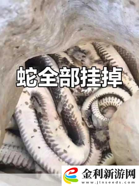 被一條蛇做到崩潰
