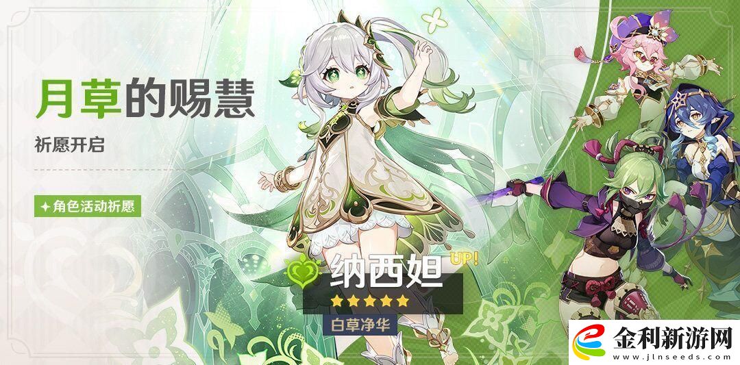 原神3.6悼靈花采集隊(duì)伍如何搭配